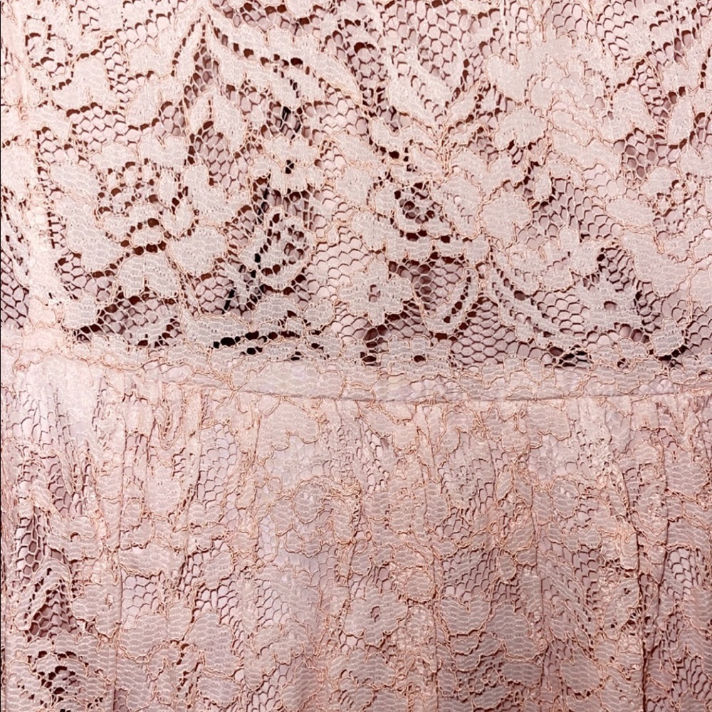 Blush Lace Dress - Picture 3 of 3